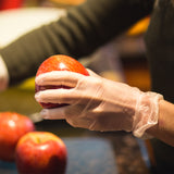 Premium Vinyl Gloves